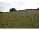 78 East Church, Deloraine TAS 7304