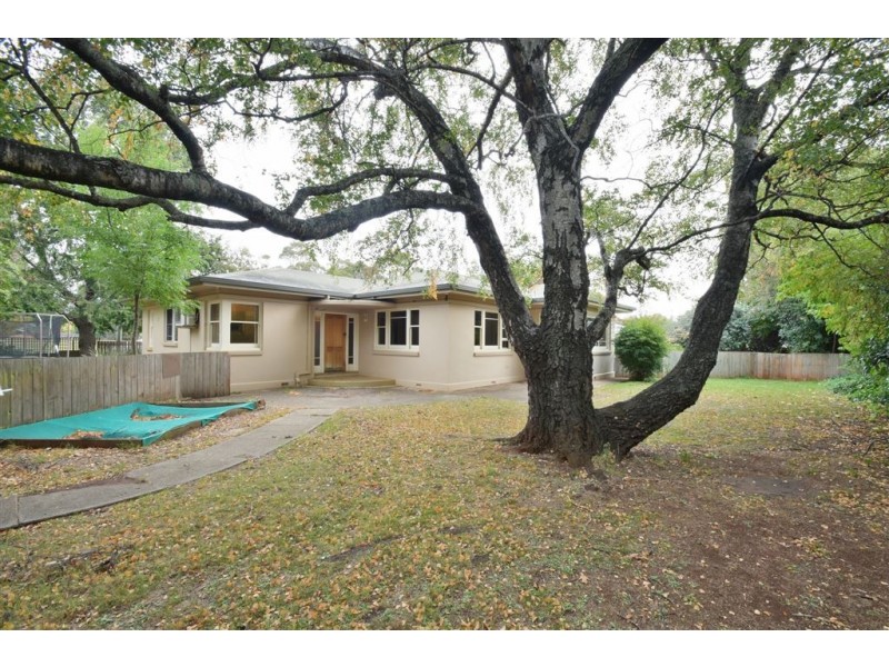 31 East Westbury Place, Deloraine TAS 7304