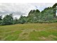 174 Wadley’s Road, Reedy Marsh TAS 7304