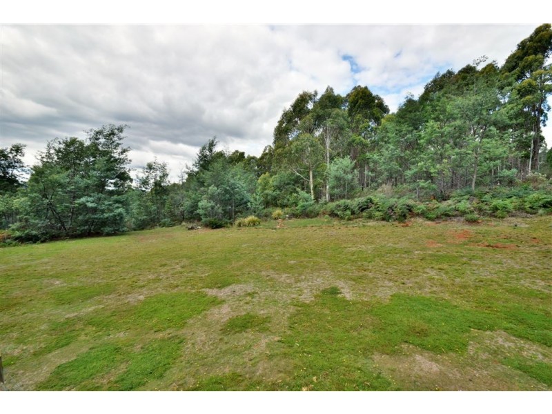 174 Wadley’s Road, Reedy Marsh TAS 7304