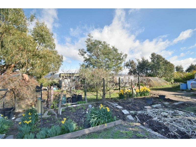 803 Whitemore Rd, Whitemore TAS 7303