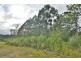 36 Wadleys Road, Reedy Marsh TAS 7304