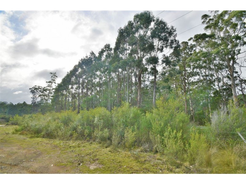 36 Wadleys Road, Reedy Marsh TAS 7304