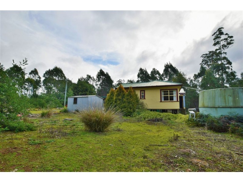 36 Wadleys Road, Reedy Marsh TAS 7304
