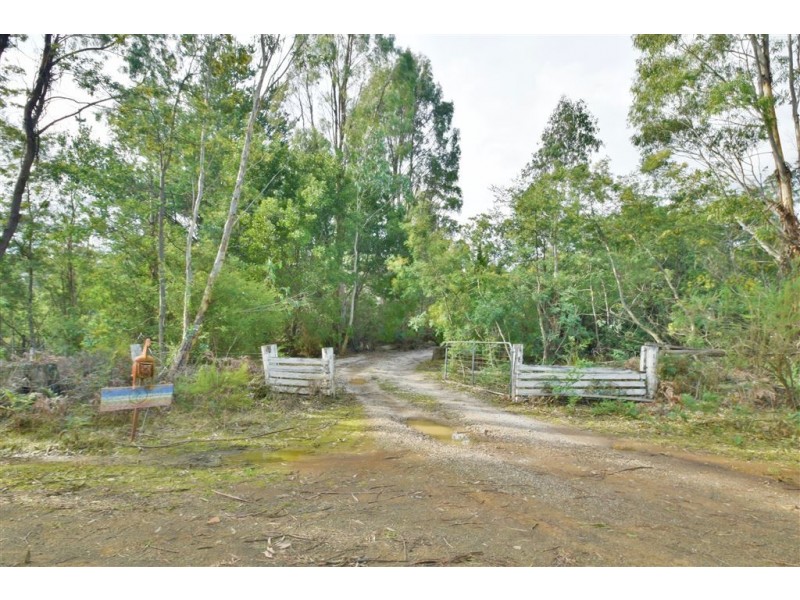 36 Wadleys Road, Reedy Marsh TAS 7304