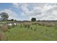 0 Brodies Road, Golden Valley TAS 7304