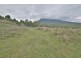 0 Brodies Road, Golden Valley TAS 7304