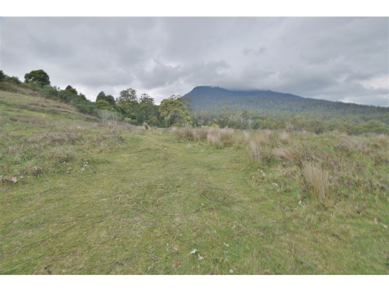 0 Brodies Road, Golden Valley TAS 7304