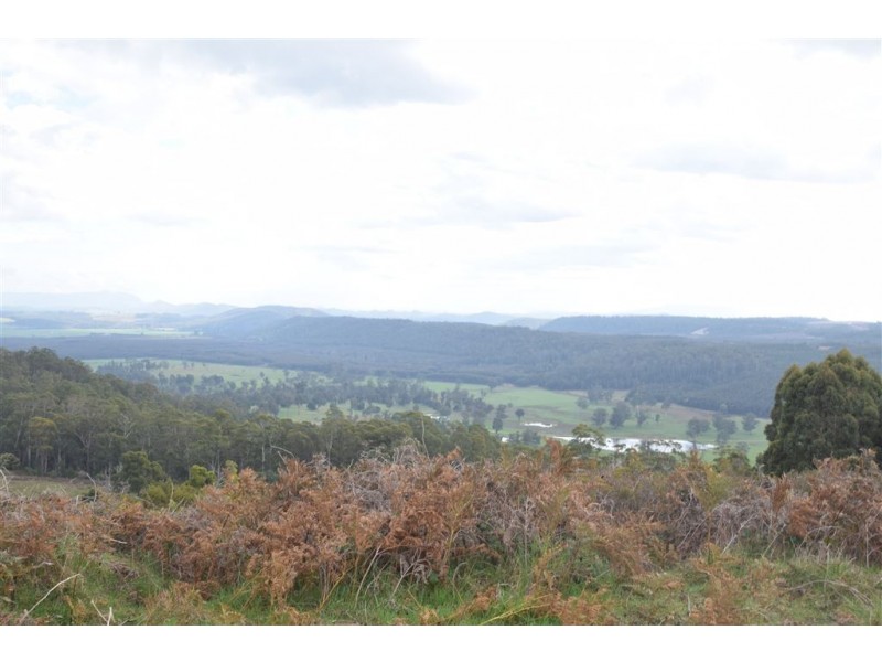 0 Brodies Road, Golden Valley TAS 7304
