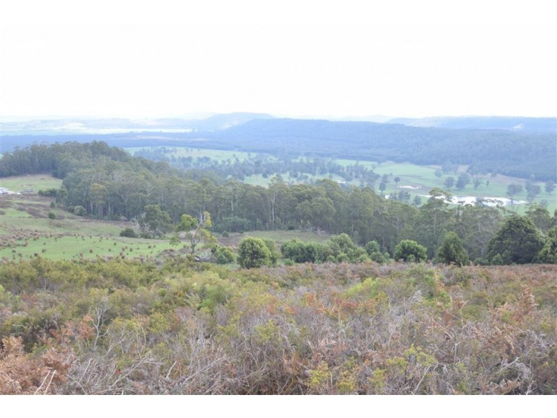 0 Brodies Road, Golden Valley TAS 7304