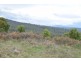 0 Brodies Road, Golden Valley TAS 7304