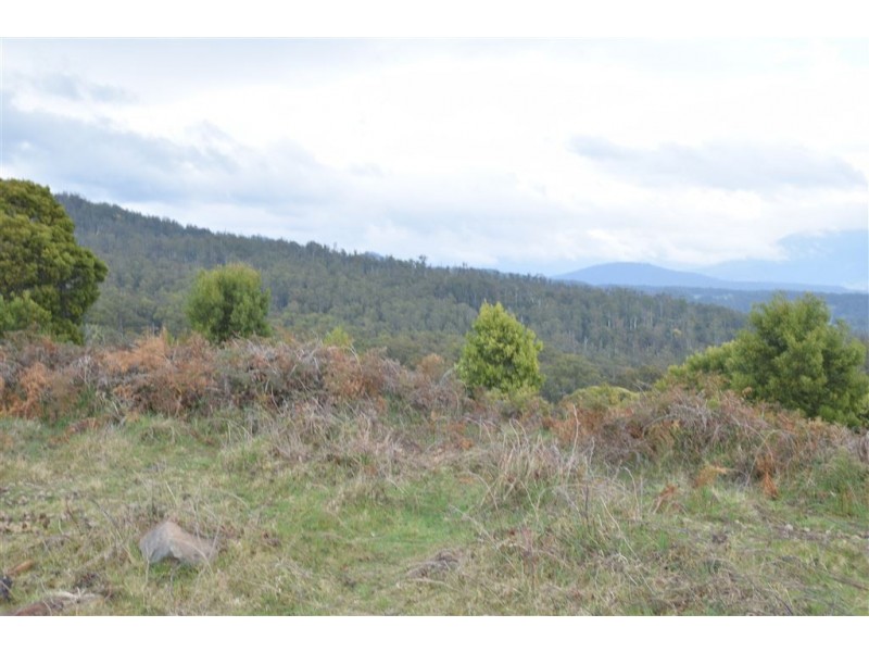 0 Brodies Road, Golden Valley TAS 7304