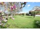 127 Emu Bay Road, Deloraine TAS 7304