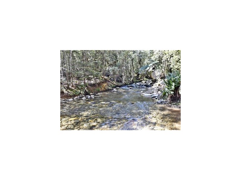 Lot 9/318 Wiiteena Road, Jackeys Marsh TAS 7304