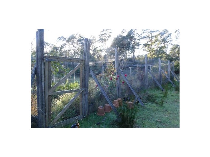 387 Sugarloaf Road, Jackeys Marsh TAS 7304