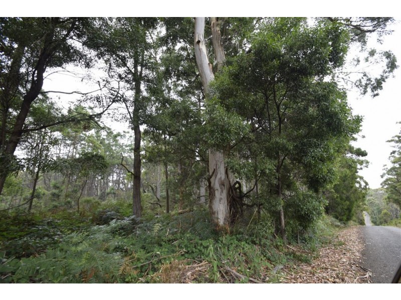 4 North St, Elizabeth Town TAS 7304