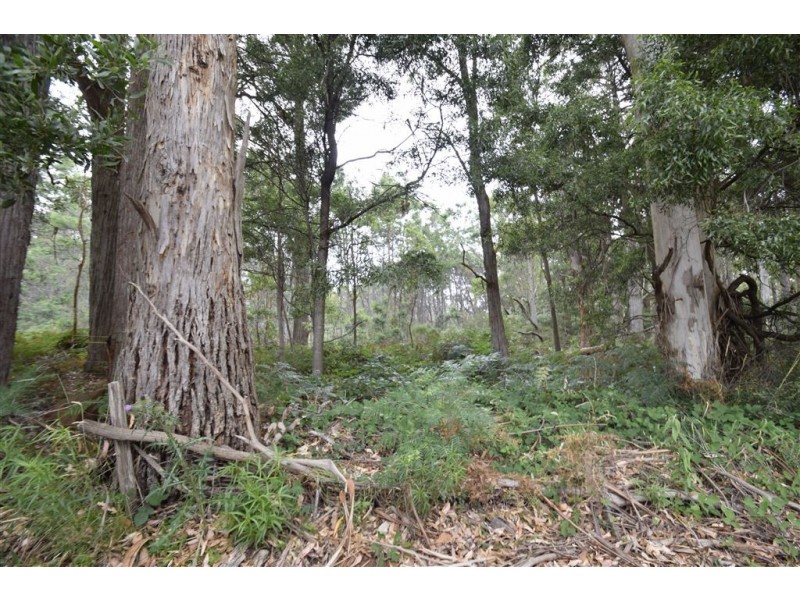 4 North St, Elizabeth Town TAS 7304