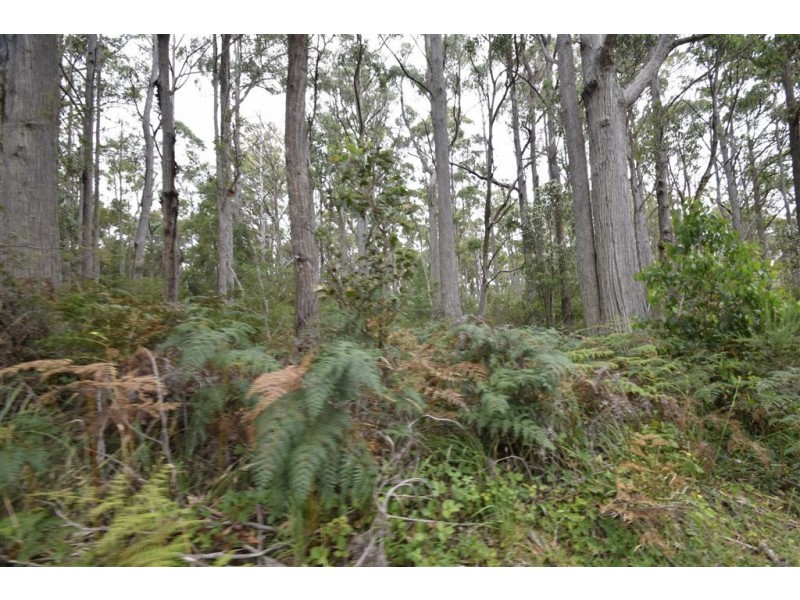 4 North St, Elizabeth Town TAS 7304