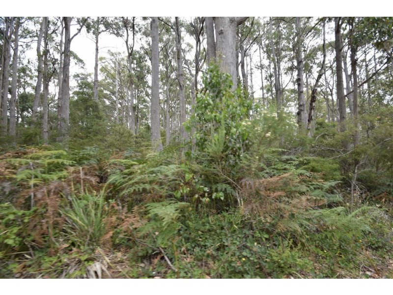 4 North St, Elizabeth Town TAS 7304