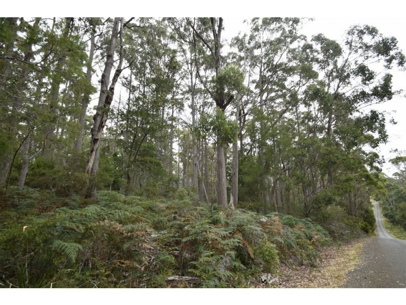 4 North St, Elizabeth Town TAS 7304