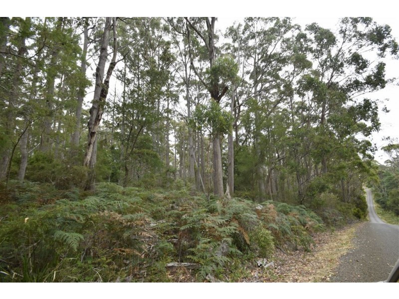 4 North St, Elizabeth Town TAS 7304