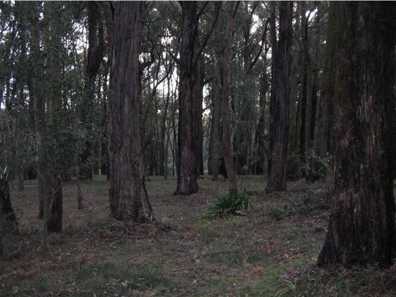 Lot 2 Rawhiti Road, Emerald VIC 3782