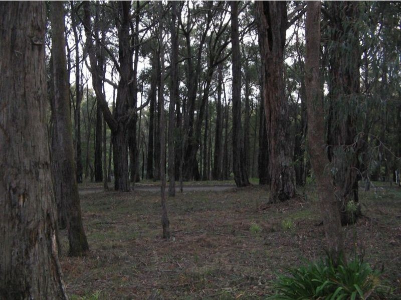 Lot 2 Rawhiti Road, Emerald VIC 3782