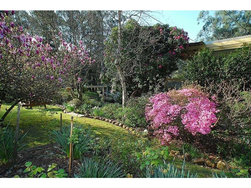 23 Edmunds Road, Cockatoo VIC 3781