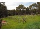 60 Paton Road, Macclesfield VIC 3782