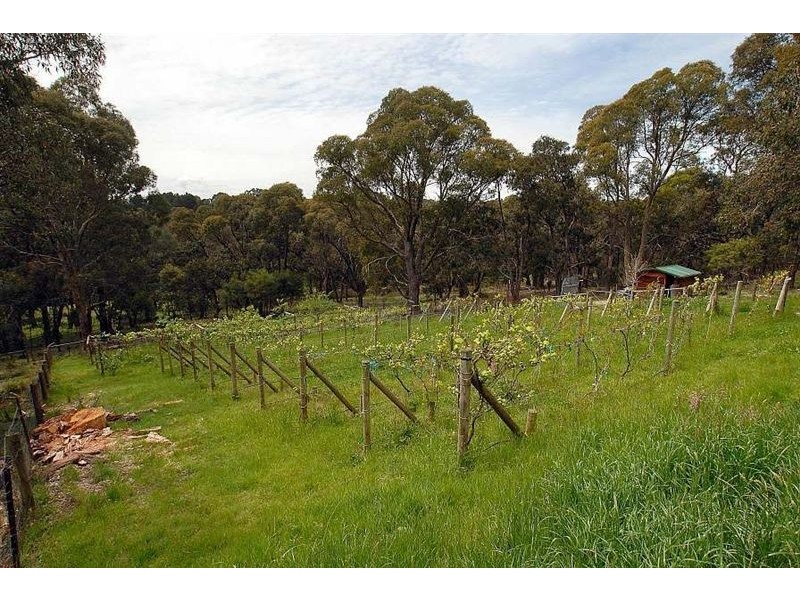 60 Paton Road, Macclesfield VIC 3782