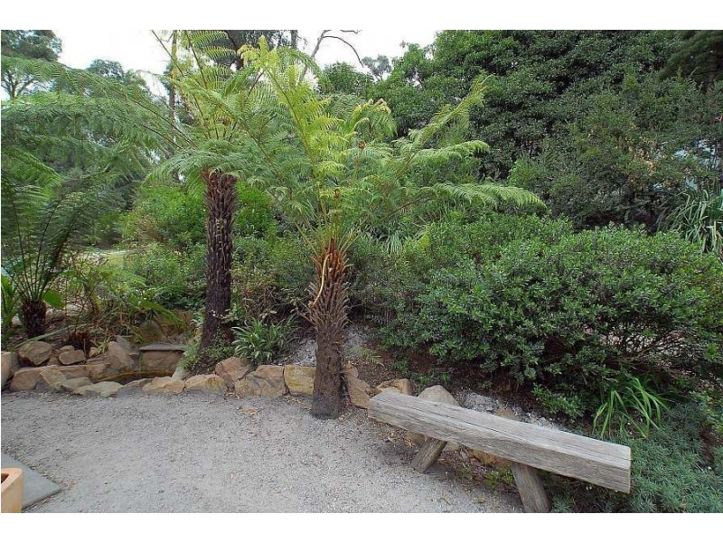 19 Edmunds Road, Cockatoo VIC 3781