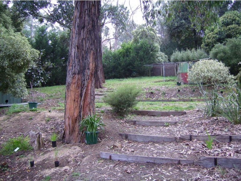 44 Caroline Avenue, Cockatoo VIC 3781