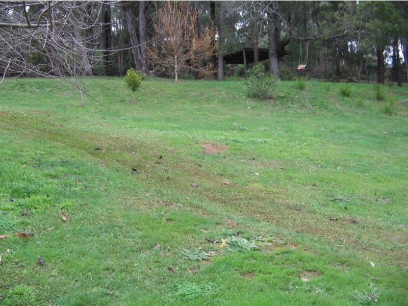 126 Stillwells Deviation, Avonsleigh VIC 3782