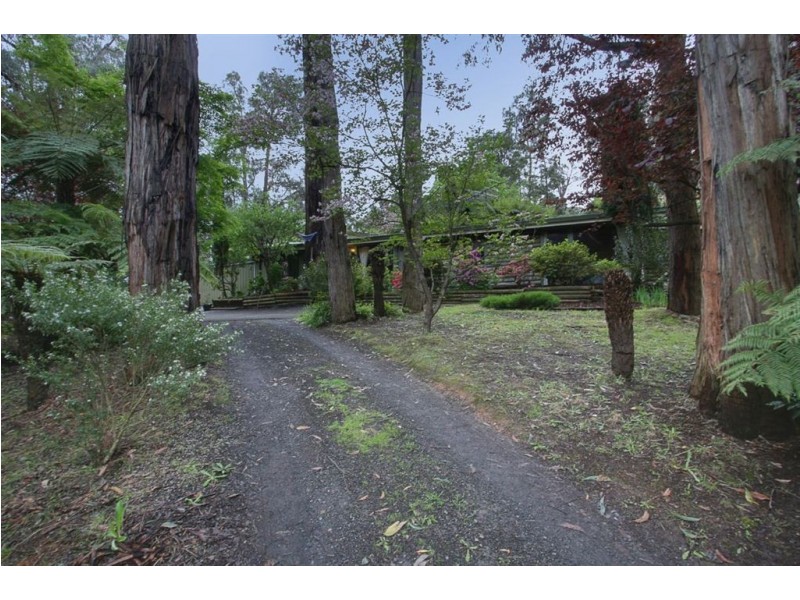 477 Belgrave Gembrook Rd, Avonsleigh VIC 3782