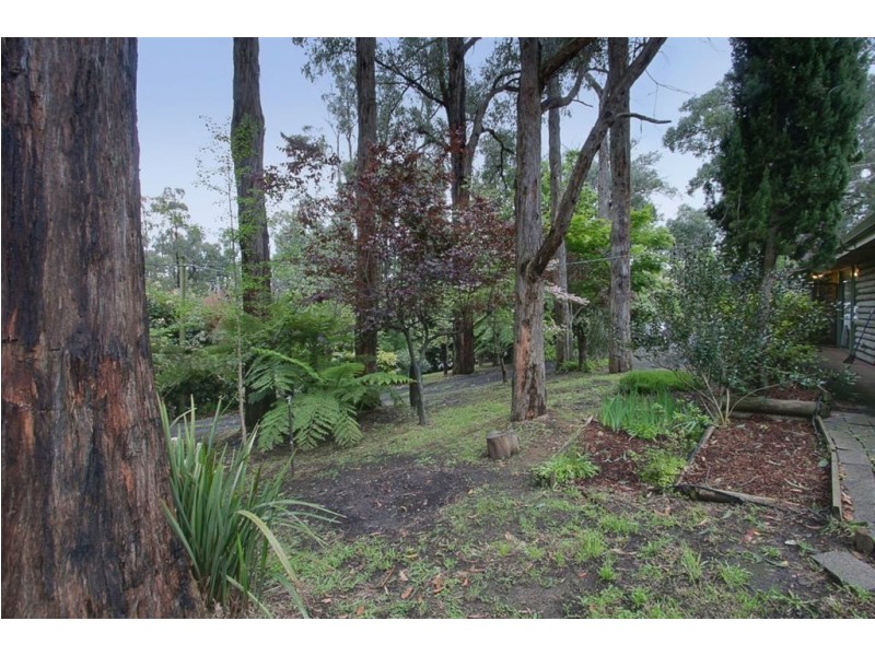 477 Belgrave Gembrook Rd, Avonsleigh VIC 3782