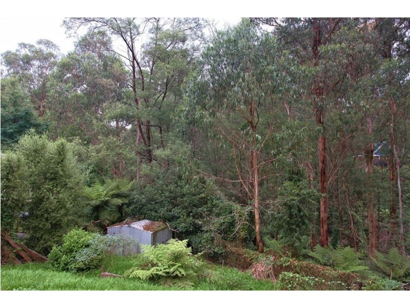 10 Waratah Way, Cockatoo VIC 3781