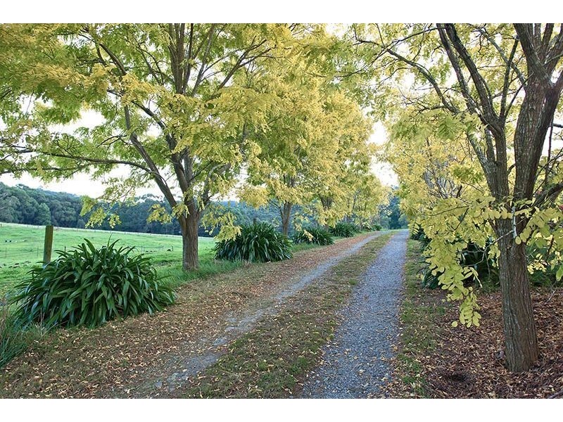 43-45 Kennedy Road, Macclesfield VIC 3782