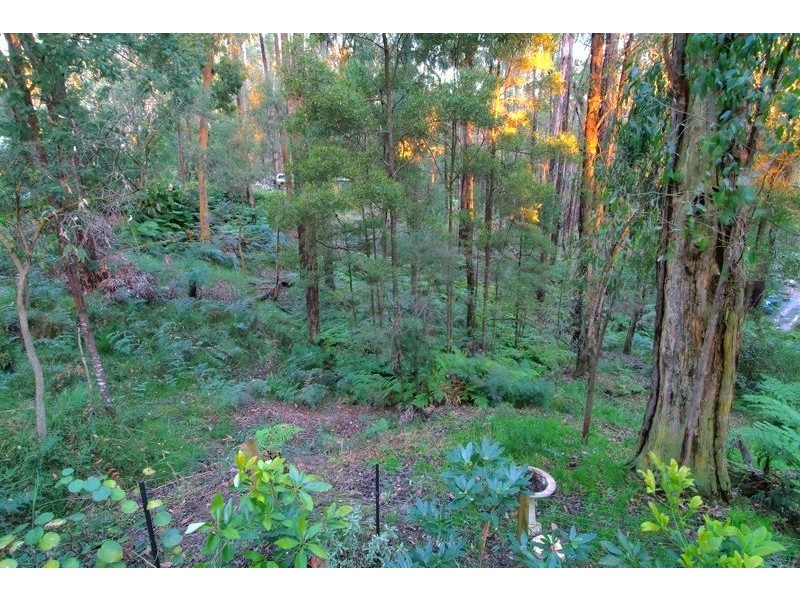 5 Bilocla Avenue, Cockatoo VIC 3781