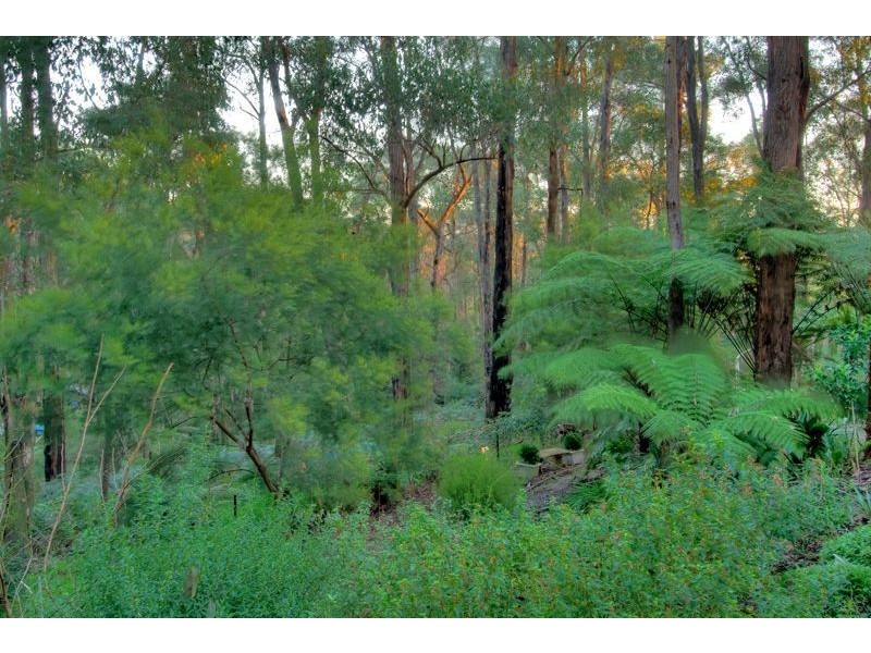 5 Bilocla Avenue, Cockatoo VIC 3781