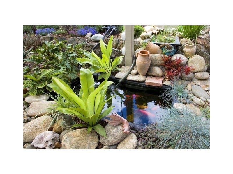 9 Pioneer Court, Wheelers Hill VIC 3150