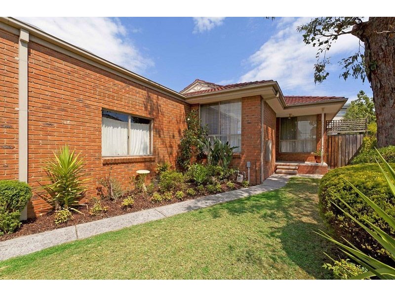 19 Danien Street, Glen Waverley VIC 3150