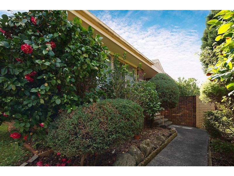 1/5 Dorgan Street, Mount Waverley VIC 3149