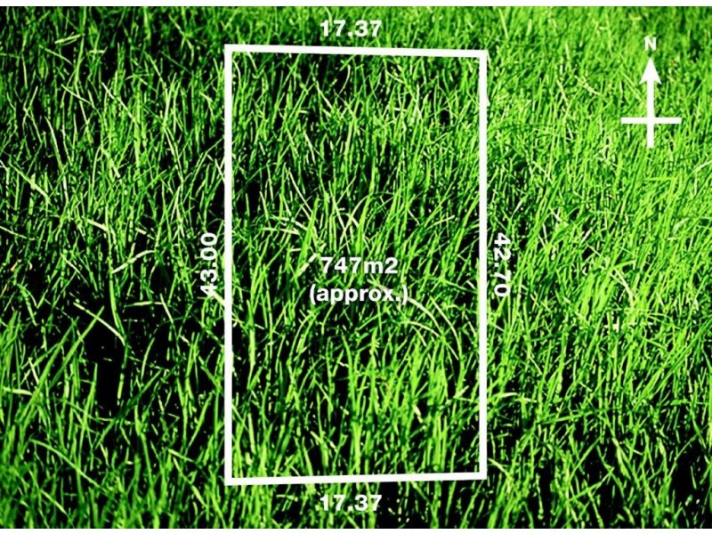 22 Irving Street, Mount Waverley VIC 3149