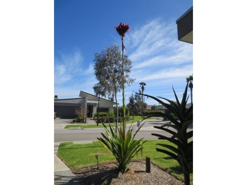 3 Artesian Place, Waterways VIC 3195