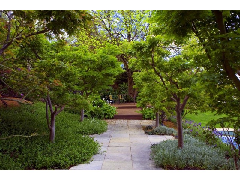 33 Mackintosh Road, Wheelers Hill VIC 3150