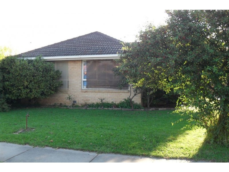 19 Glenwood Avenue, Glen Waverley VIC 3150
