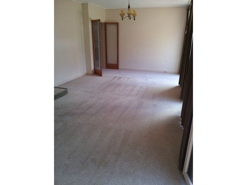 1/286 Springvale Road, Forest Hill VIC 3131