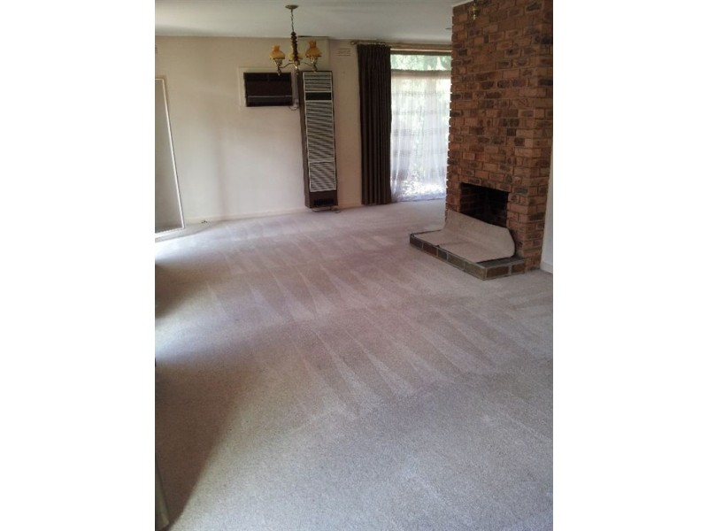 1/286 Springvale Road, Forest Hill VIC 3131