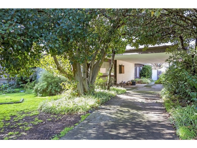 438 Springvale Road, Glen Waverley VIC 3150