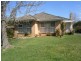 82 Foch Street, Box Hill South VIC 3128